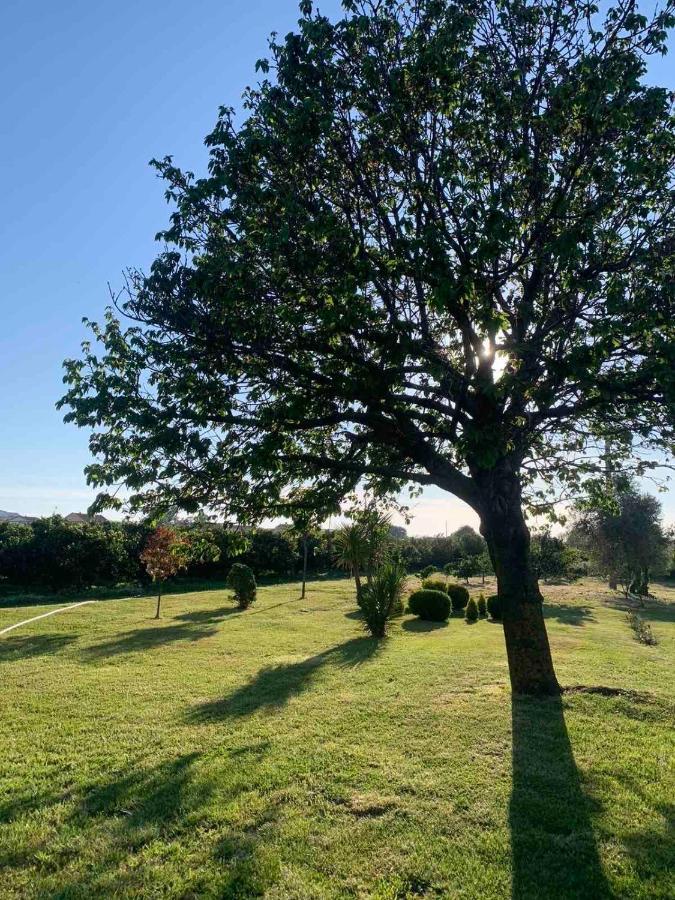 Lux Sereno Village Ulcinj Exteriör bild